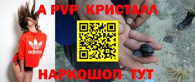гашик Анжеро-Судженск