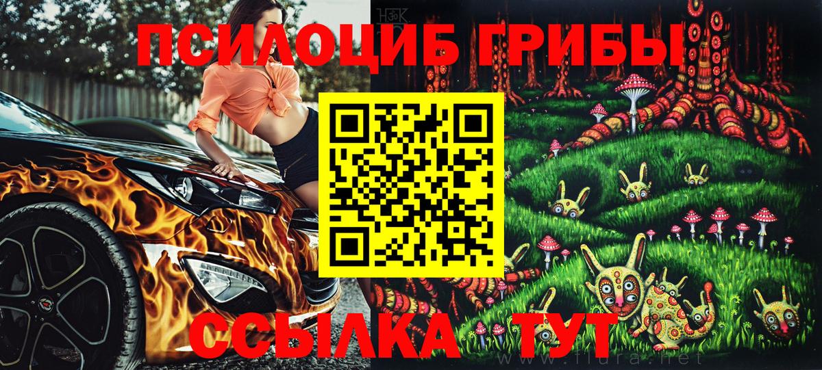 Галлюциногенные грибы Psilocybine cubensis Нарткала